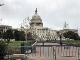 U.S. Capitol Washington D.C.